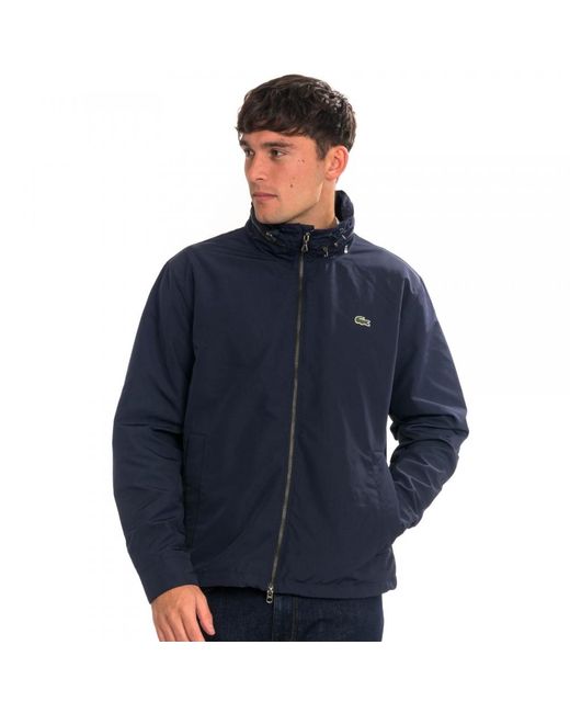 lacoste jacket navy blue