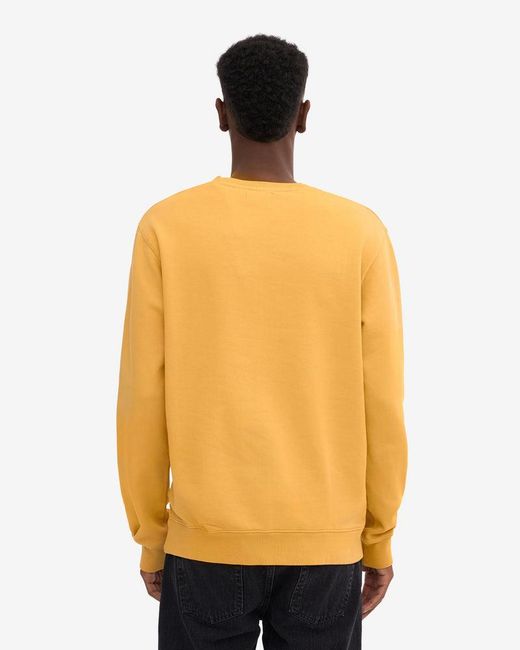 COLORFUL STANDARD Orange Classic Organic Crew Neck Sweatshirt for men