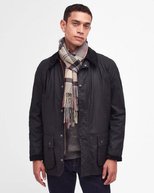 Barbour White Galingale Scarf