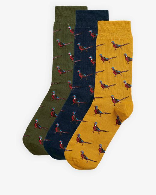 Barbour Blue Pheasant Socks Gift Box Forest Mist for men