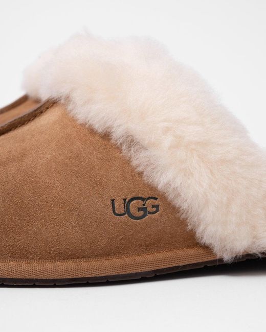 Ugg Brown Scuffette Ii Slipper