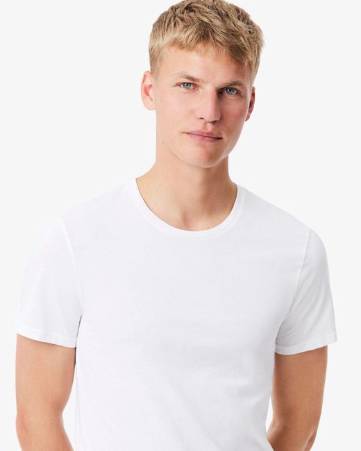 Lacoste Green 3-pack Plain T- Shirt for men