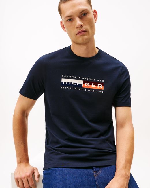 Tommy Hilfiger Blue Th Colour Block Graphic T-Shirt for men