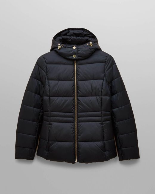 Joules Black Hadlow Padded Jacket