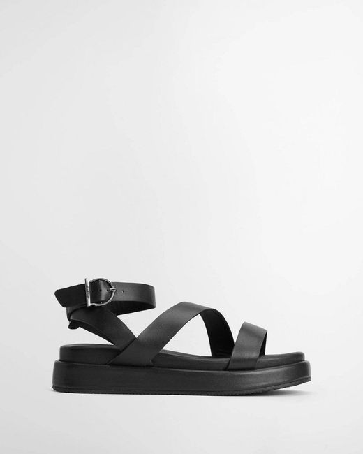 Barbour Black Ivy Sandals
