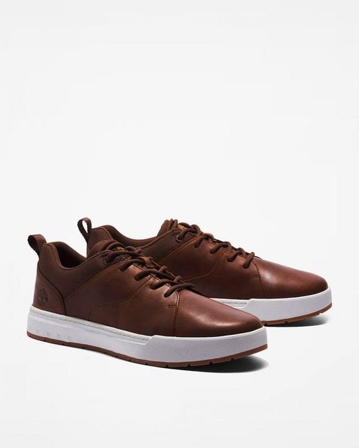 Timberland Brown Maple Grove Low Trainers for men