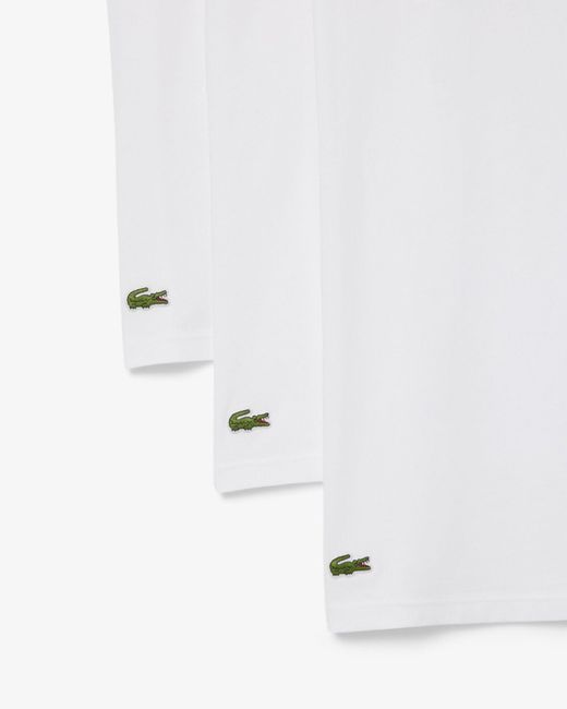 Lacoste Green 3-pack Plain T- Shirt for men