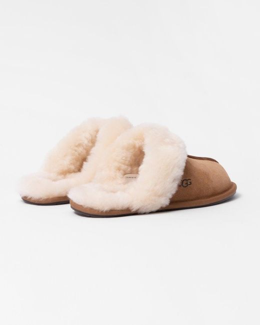 Ugg Brown Scuffette Ii Slipper