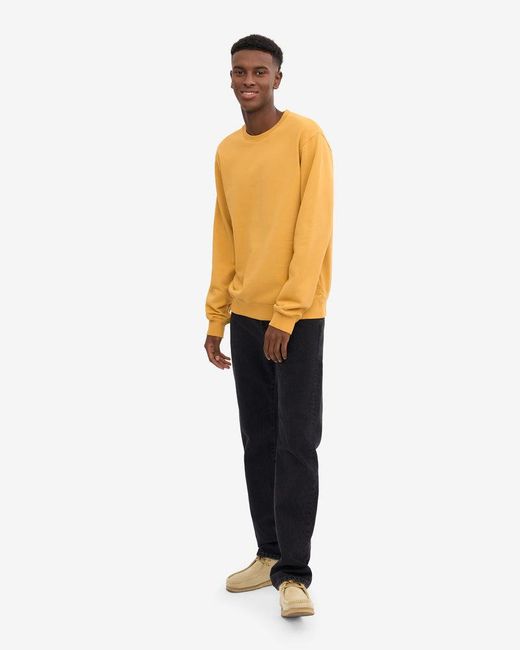 COLORFUL STANDARD Orange Classic Organic Crew Neck Sweatshirt for men