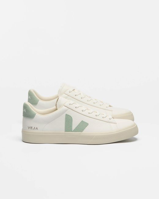 Veja White Trainers
