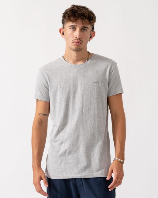 Gant Gray 2-Pack Crew Neck T-Shirts for men
