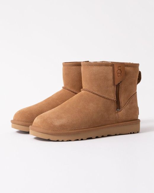 Ugg Brown Classic Mini Bailey Zip Boot