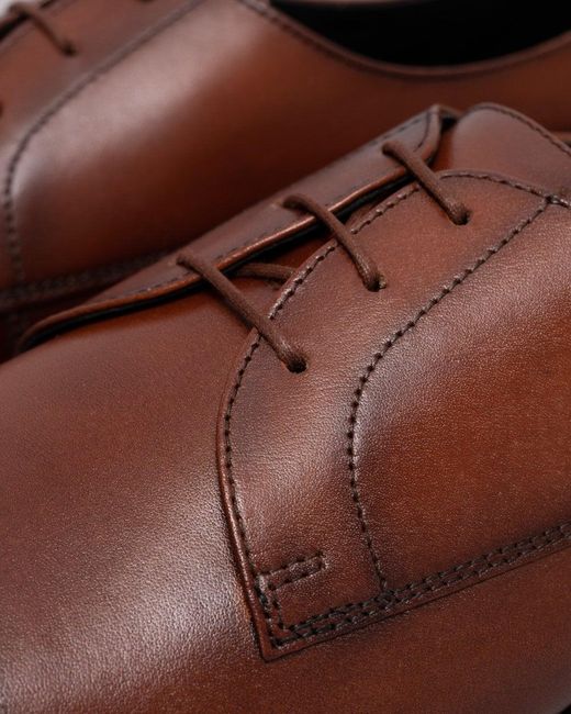 Boss Brown Colby_derb_tcbu Shoes for men