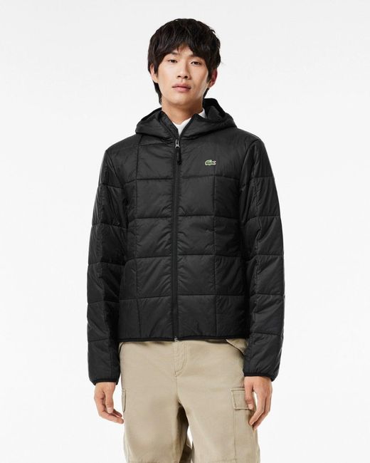 Lacoste Black Quilted Hooded Jacket for men