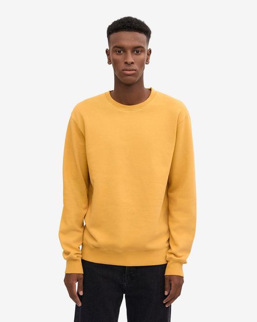 COLORFUL STANDARD Orange Classic Organic Crew Neck Sweatshirt for men