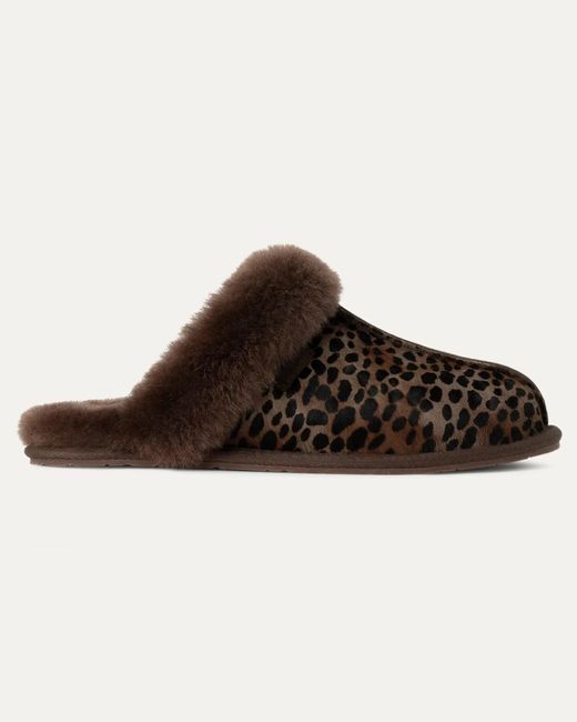 Ugg Brown Scuffette Caspian Slippers