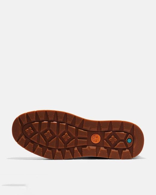Timberland Brown Maple Grove Low Trainers for men
