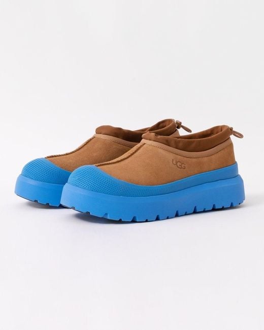 Ugg Blue Tasman Weather Hybrid Shoes Colour: Chestnut for men