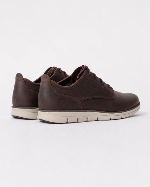 Timberland Brown Bradstreet Low Lace-Up Trainers for men