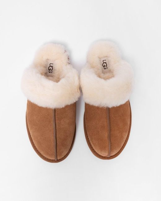Ugg Brown Scuffette Ii Slipper