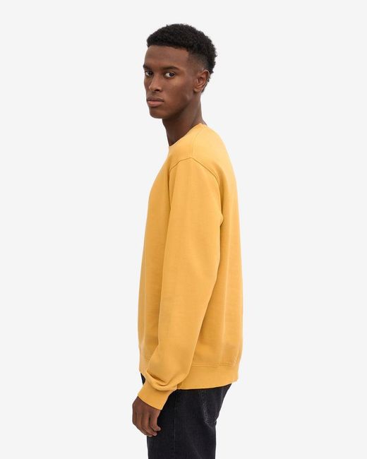 COLORFUL STANDARD Orange Classic Organic Crew Neck Sweatshirt for men