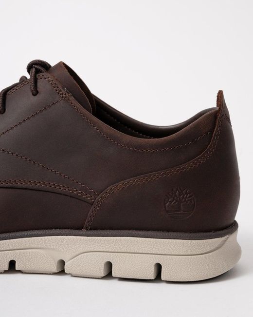 Timberland Brown Bradstreet Low Lace-Up Trainers for men
