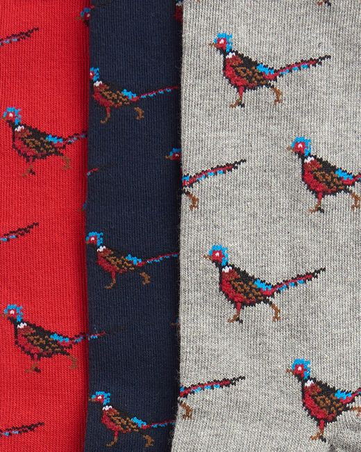 Barbour White 3-Pack Pheasant Socks Gift Set for men