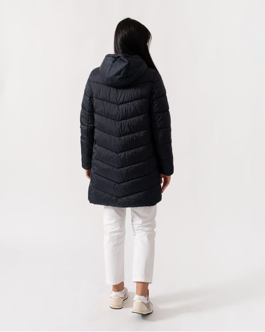 Joules Blue Moorsdale Parka