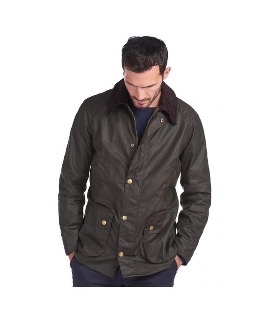 barbour ashby brown
