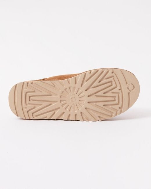 Ugg Brown Classic Slip On for men