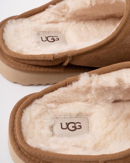 Ugg Brown Classic Slip On for men