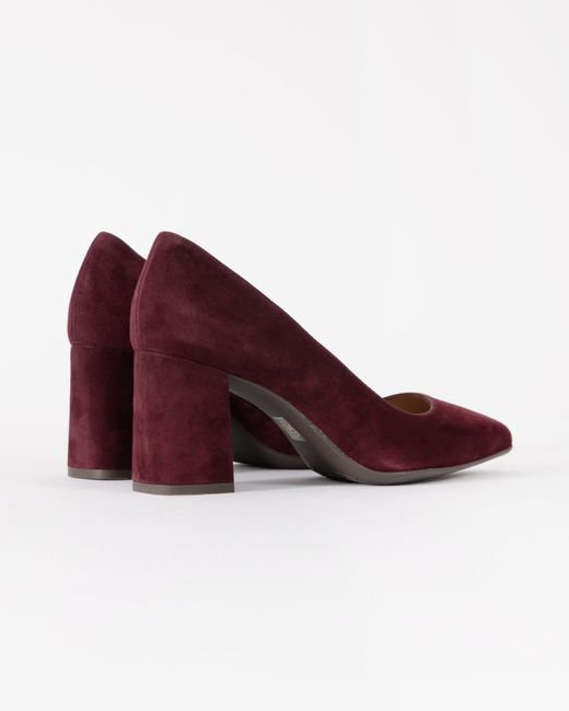 Elia B Pink Divine Heeled Shoe