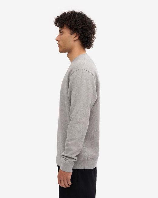 COLORFUL STANDARD Gray Classic Organic Crew Neck Sweatshirt for men
