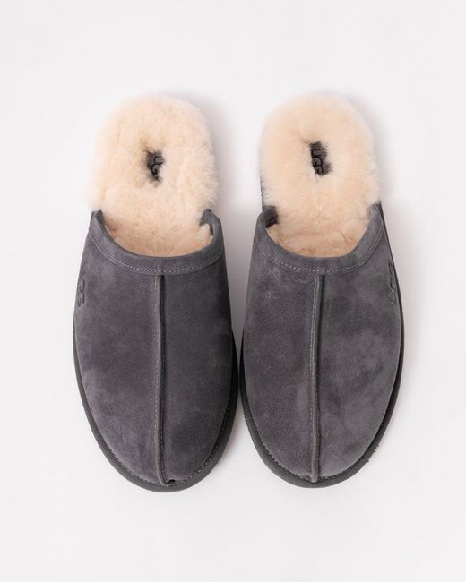 Ugg Gray Scuff Slipper for men