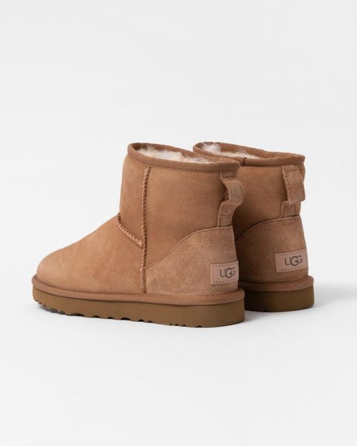 Ugg Brown Classic Mini Ii Boot