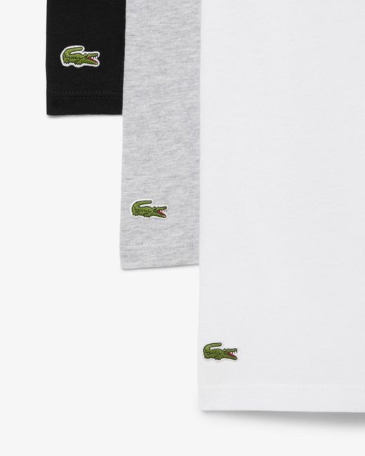Lacoste White 3-Pack Plain T-Shirts for men