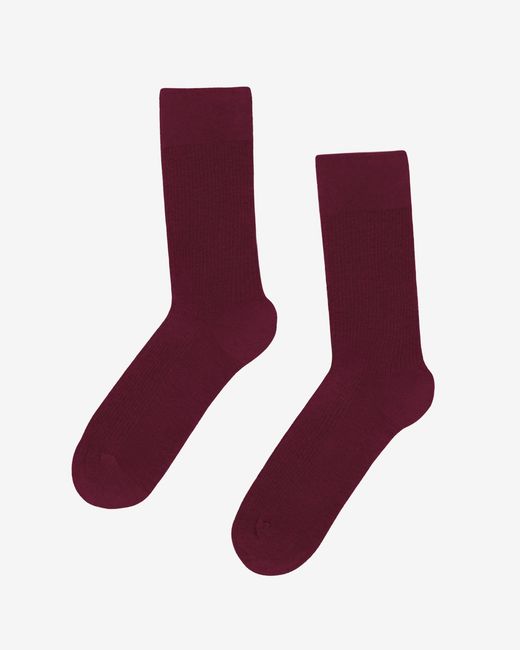 COLORFUL STANDARD Purple Classic Organic Socks for men