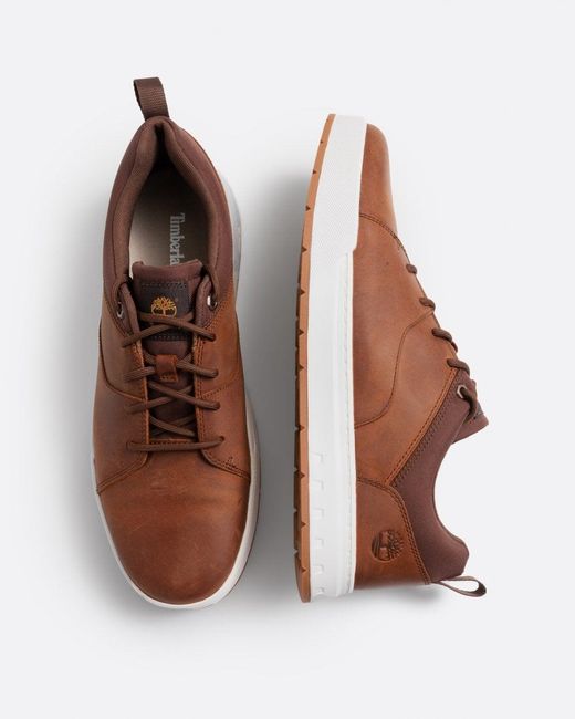 Timberland Brown Maple Grove Low Trainers for men