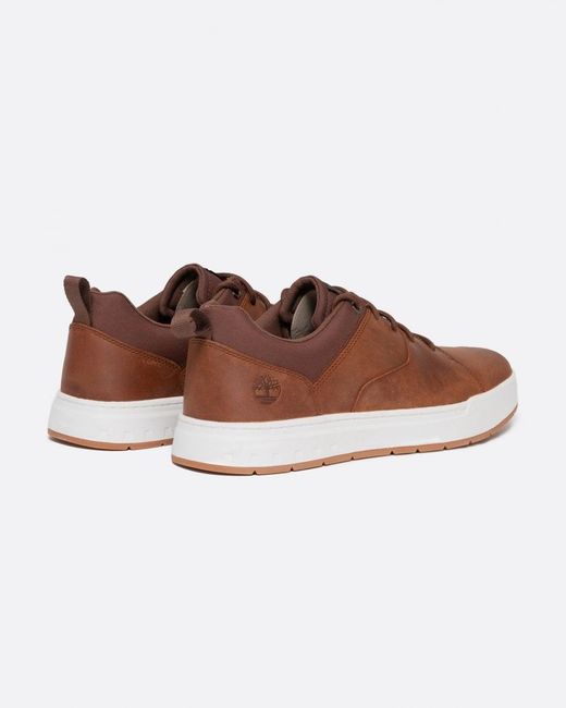 Timberland Brown Maple Grove Low Trainers for men