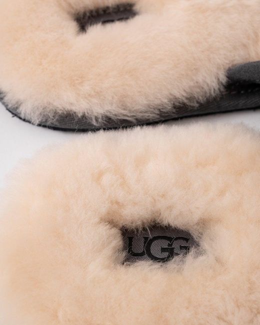 Ugg Gray Scuff Slipper for men