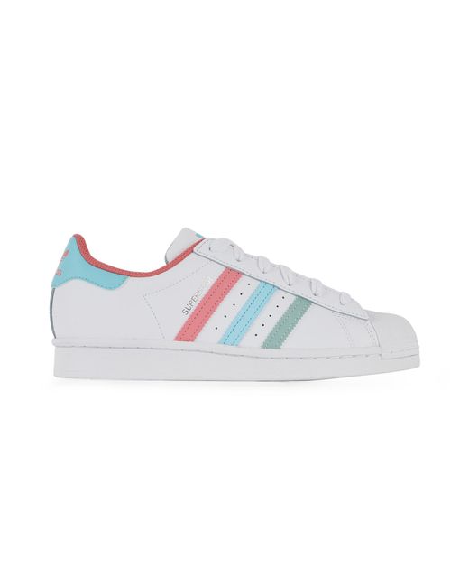 super star adidas multicolor