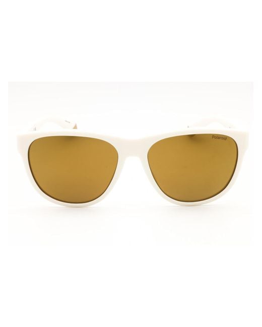Polaroid Multicolor Rectangular Sunglasses for men