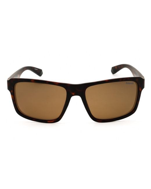 Polaroid Brown Pld 2158/S Sunglasses for men