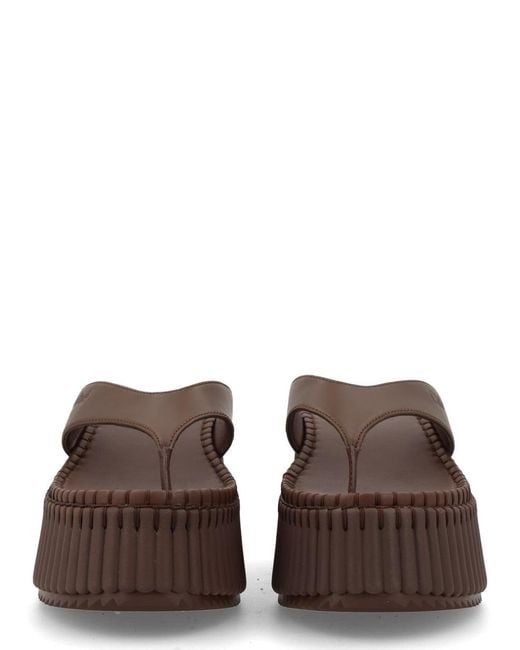 Chloé Brown Chic Leather Flats For