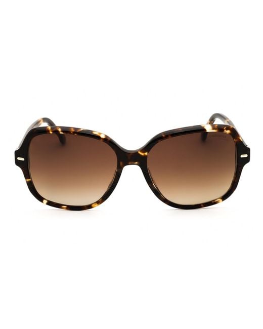 Carrera Brown Rectangular Acetate Sunglasses