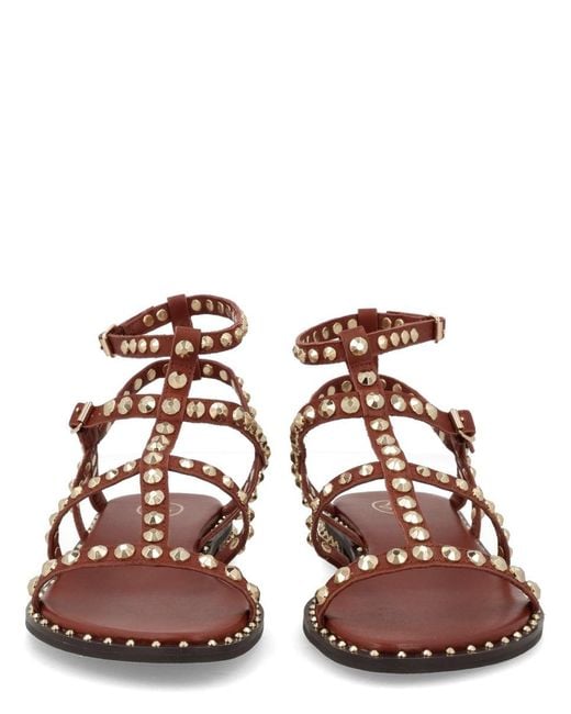 Ash Red Studded Gladiator Flat Sandals
