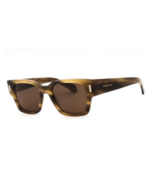 Ferragamo Brown Salvatore Sf2010S Sunglasses for men