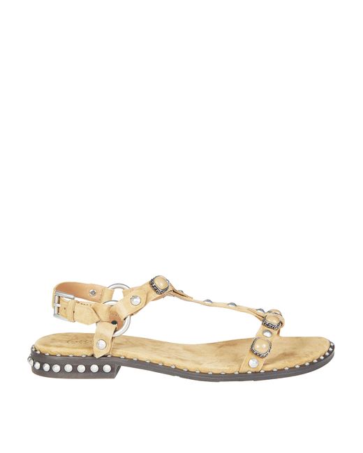 Ash Natural Elegant Cachemere Sandals For