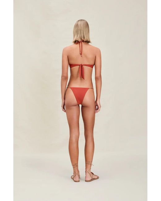 Devon Windsor Red Giana Top