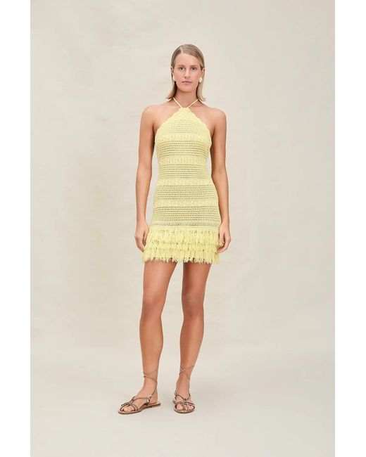 Devon Windsor Natural Rae Dress